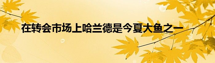 在轉(zhuǎn)會(huì)市場(chǎng)上哈蘭德是今夏大魚(yú)之一