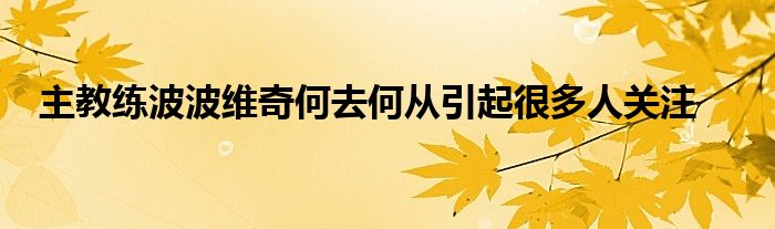 主教練波波維奇何去何從引起很多人關注