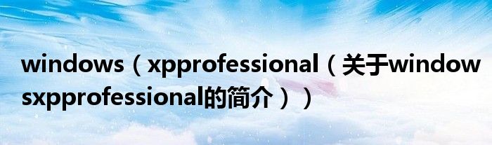 windows（xpprofessional（關(guān)于windowsxpprofessional的簡介））