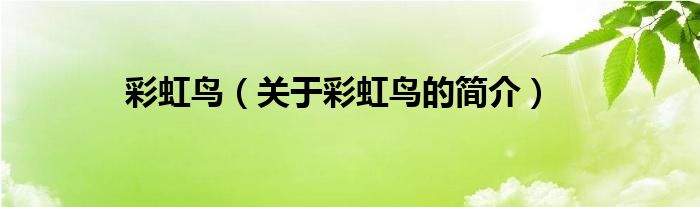 彩虹鳥(niǎo)（關(guān)于彩虹鳥(niǎo)的簡(jiǎn)介）