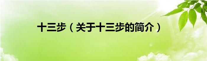 十三步（關(guān)于十三步的簡(jiǎn)介）