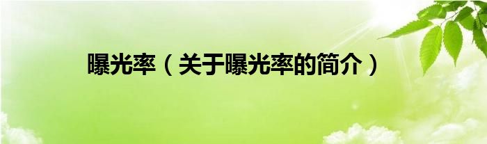 曝光率（關(guān)于曝光率的簡介）