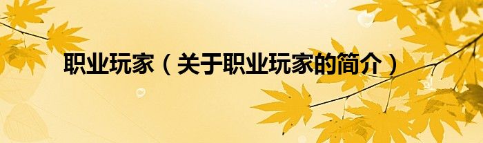 職業(yè)玩家（關(guān)于職業(yè)玩家的簡(jiǎn)介）