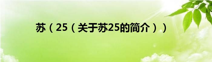 蘇（25（關(guān)于蘇25的簡(jiǎn)介））