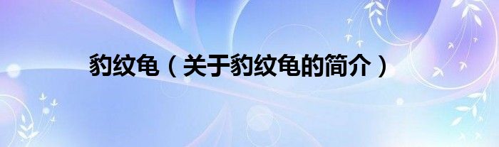 豹紋龜（關(guān)于豹紋龜?shù)暮?jiǎn)介）