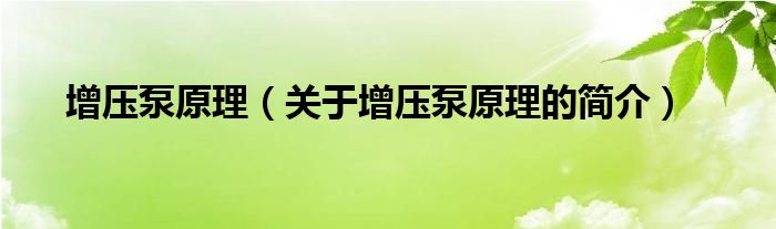 增壓泵原理（關(guān)于增壓泵原理的簡(jiǎn)介）