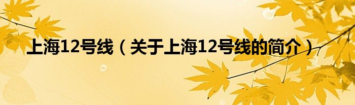 上海12號線（關于上海12號線的簡介）