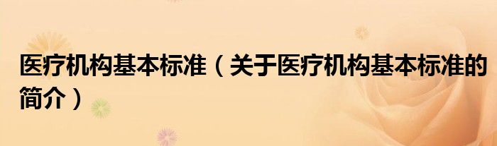 醫(yī)療機(jī)構(gòu)基本標(biāo)準(zhǔn)（關(guān)于醫(yī)療機(jī)構(gòu)基本標(biāo)準(zhǔn)的簡(jiǎn)介）