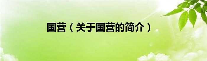 國營（關(guān)于國營的簡(jiǎn)介）