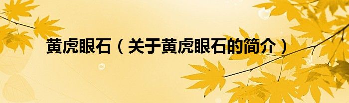 黃虎眼石（關(guān)于黃虎眼石的簡(jiǎn)介）