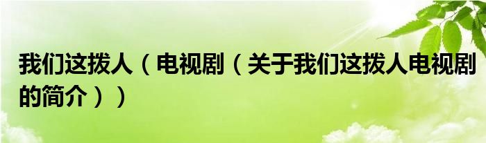 我們這撥人（電視劇（關(guān)于我們這撥人電視劇的簡介））