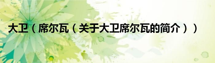 大衛(wèi)（席爾瓦（關(guān)于大衛(wèi)席爾瓦的簡(jiǎn)介））