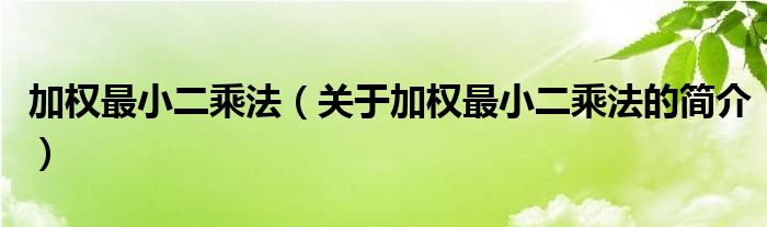 加權(quán)最小二乘法（關(guān)于加權(quán)最小二乘法的簡介）