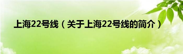 上海22號(hào)線(xiàn)（關(guān)于上海22號(hào)線(xiàn)的簡(jiǎn)介）