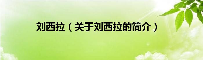 劉西拉（關(guān)于劉西拉的簡(jiǎn)介）