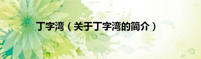 丁字灣（關(guān)于丁字灣的簡(jiǎn)介）