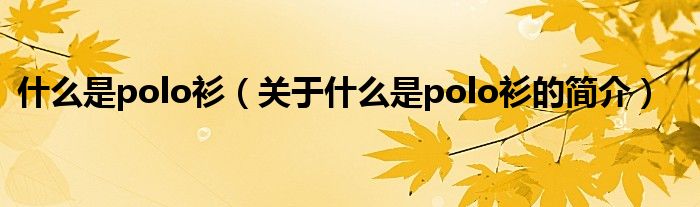 什么是polo衫（關于什么是polo衫的簡介）