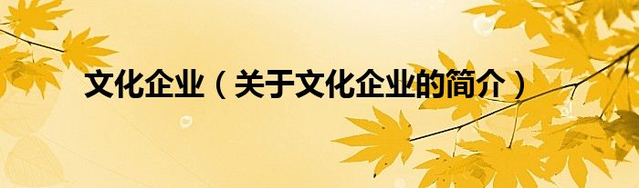 文化企業(yè)（關(guān)于文化企業(yè)的簡(jiǎn)介）