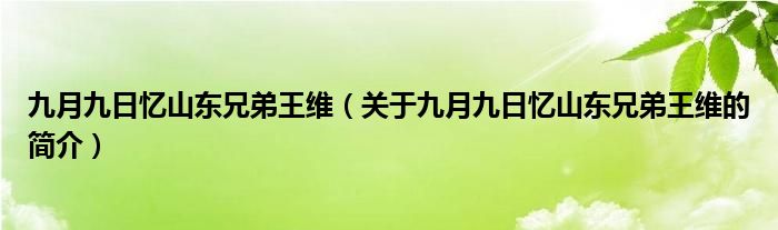 九月九日憶山東兄弟王維（關(guān)于九月九日憶山東兄弟王維的簡介）