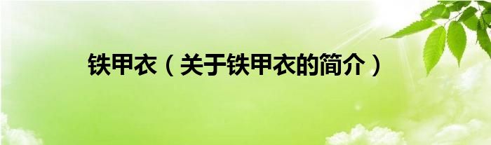 鐵甲衣（關(guān)于鐵甲衣的簡(jiǎn)介）