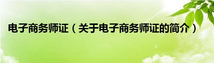 電子商務(wù)師證（關(guān)于電子商務(wù)師證的簡介）