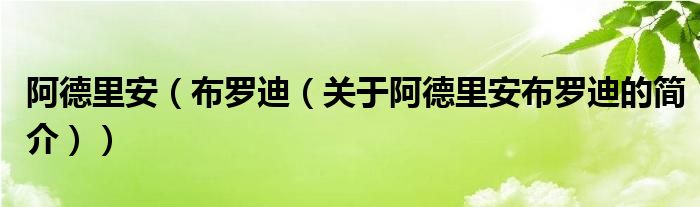 阿德里安（布羅迪（關(guān)于阿德里安布羅迪的簡介））