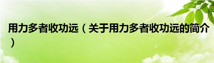 用力多者收功遠(yuǎn)（關(guān)于用力多者收功遠(yuǎn)的簡(jiǎn)介）