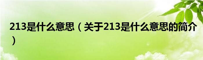 213是什么意思（關(guān)于213是什么意思的簡介）