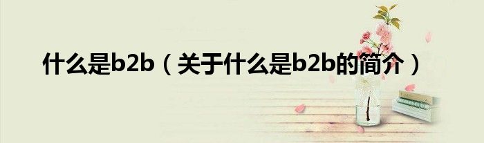 什么是b2b（關(guān)于什么是b2b的簡介）