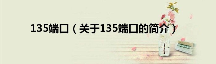 135端口（關(guān)于135端口的簡介）