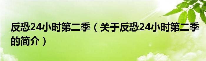 反恐24小時(shí)第二季（關(guān)于反恐24小時(shí)第二季的簡(jiǎn)介）