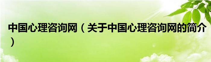 中國(guó)心理咨詢網(wǎng)（關(guān)于中國(guó)心理咨詢網(wǎng)的簡(jiǎn)介）