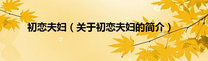 初戀夫婦（關(guān)于初戀夫婦的簡(jiǎn)介）