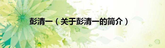 彭清一（關(guān)于彭清一的簡(jiǎn)介）