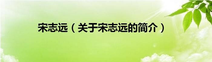 宋志遠(yuǎn)（關(guān)于宋志遠(yuǎn)的簡(jiǎn)介）