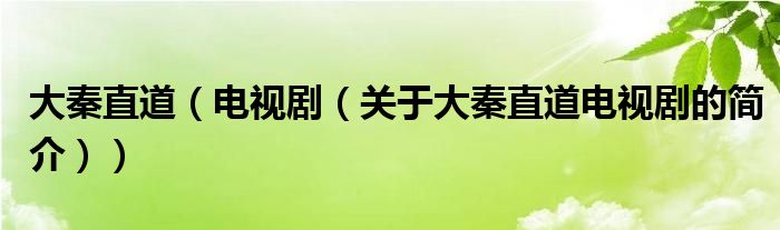 大秦直道（電視?。P于大秦直道電視劇的簡介））