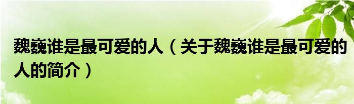 魏巍誰是最可愛的人（關(guān)于魏巍誰是最可愛的人的簡介）