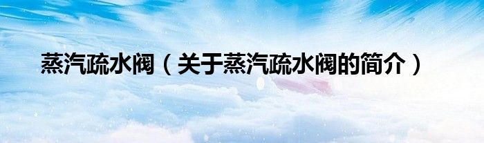 蒸汽疏水閥（關(guān)于蒸汽疏水閥的簡(jiǎn)介）