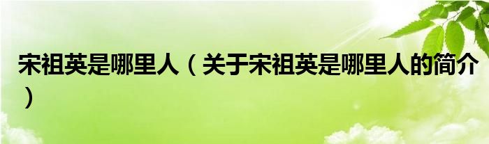 宋祖英是哪里人（關(guān)于宋祖英是哪里人的簡介）