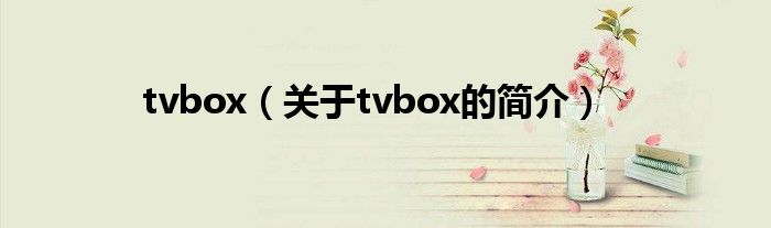 tvbox（關于tvbox的簡介）