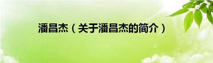 潘昌杰（關(guān)于潘昌杰的簡(jiǎn)介）