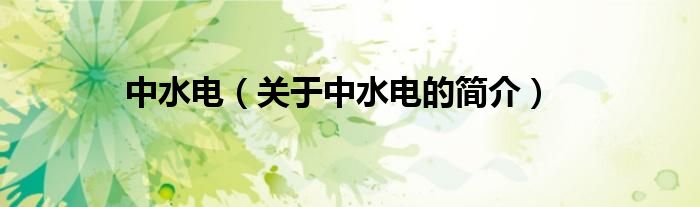 中水電（關(guān)于中水電的簡(jiǎn)介）