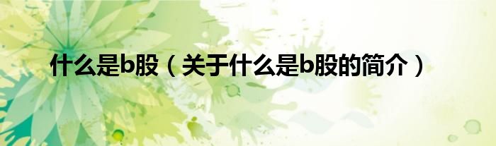 什么是b股（關(guān)于什么是b股的簡(jiǎn)介）