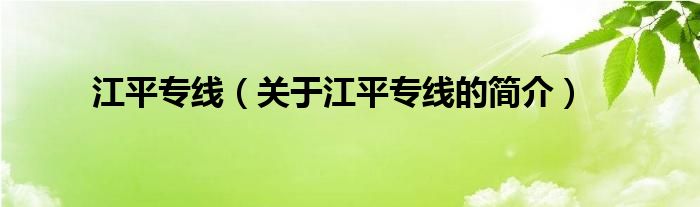 江平專線（關(guān)于江平專線的簡(jiǎn)介）