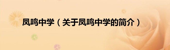 鳳鳴中學(xué)（關(guān)于鳳鳴中學(xué)的簡(jiǎn)介）