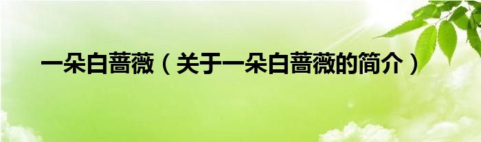 一朵白薔薇（關(guān)于一朵白薔薇的簡(jiǎn)介）