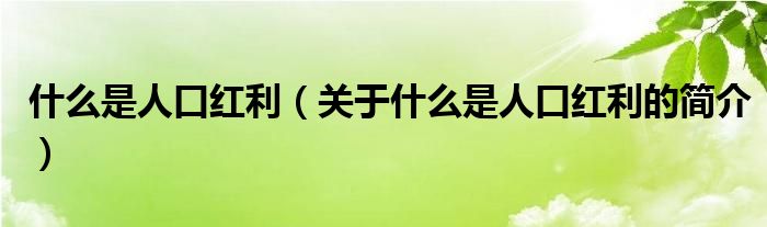 什么是人口紅利（關(guān)于什么是人口紅利的簡介）