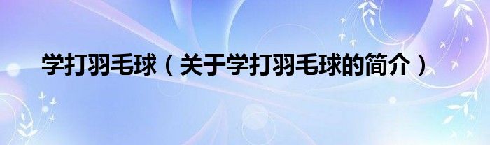 學打羽毛球（關(guān)于學打羽毛球的簡介）