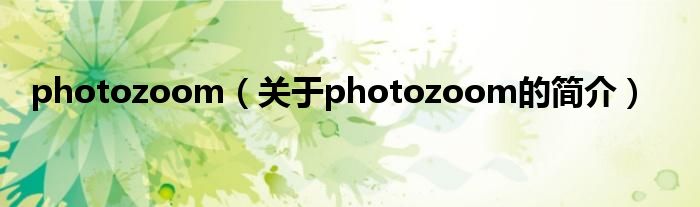 photozoom（關(guān)于photozoom的簡(jiǎn)介）