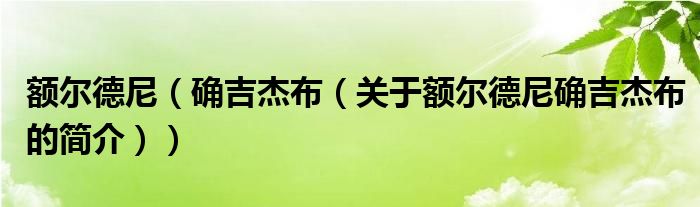 額爾德尼（確吉杰布（關(guān)于額爾德尼確吉杰布的簡(jiǎn)介））